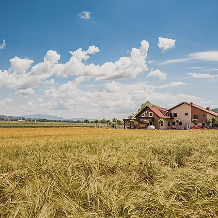 Elegant And Stylish Retreat With Terrace - Three Bedroom With Terrace Apartamento Brežice