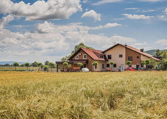 Apartamento Elegant And Stylish Retreat With Terrace - Three Bedroom With Terrace Brežice